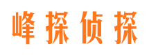 大同市场调查